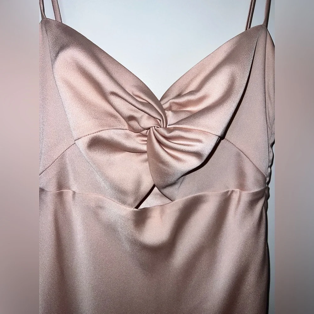 Park & Fifth Aletta Blush Pink Dress - Picture 4 of 8